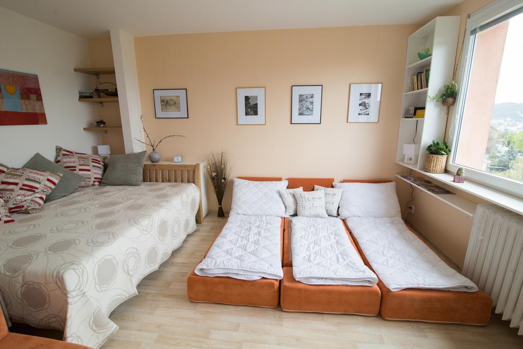 Apartman Labe Ústí nad Labem Εξωτερικό φωτογραφία